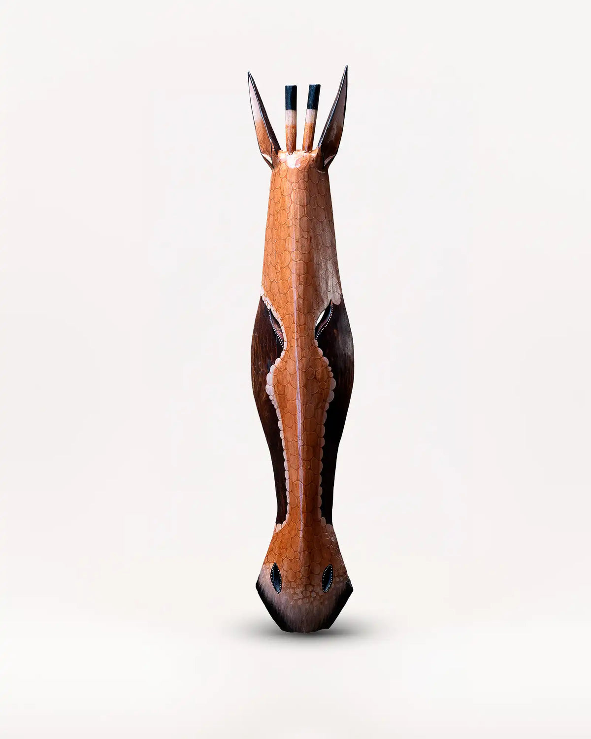 Okapi del Congo