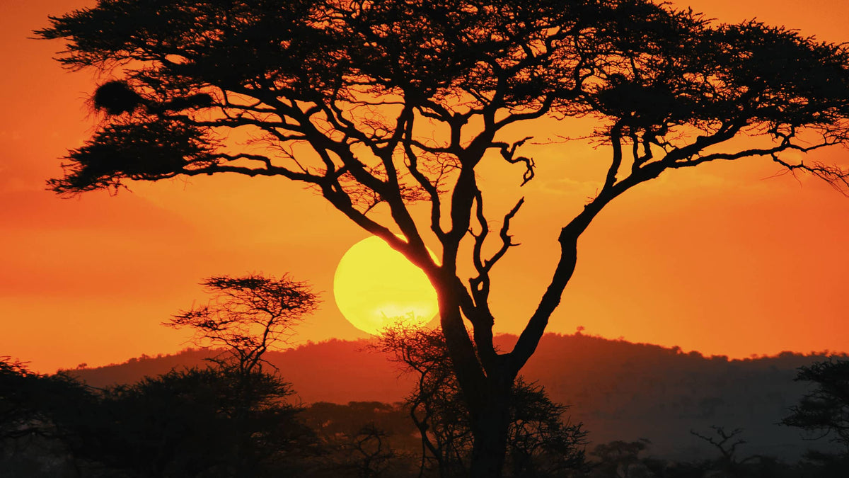Viaje al corazón de la nueva cosmética africana
