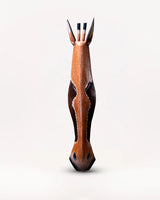 Okapi del Congo